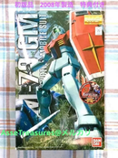 Bandai Mg (Master Grade) 2.0 W/