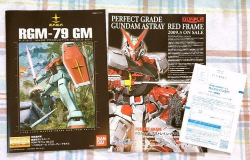 Bandai Mg (Master Grade) 2.0 W/