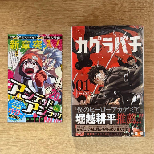 Sh Nen Manga 1 2