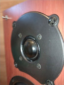 Onkyo Speakers D-S7Gxdv