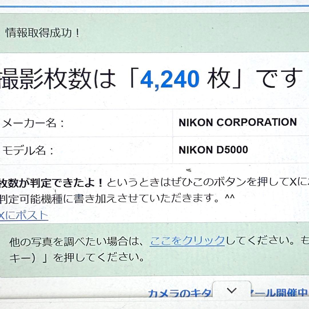 Nikon Digital Slrs D5000