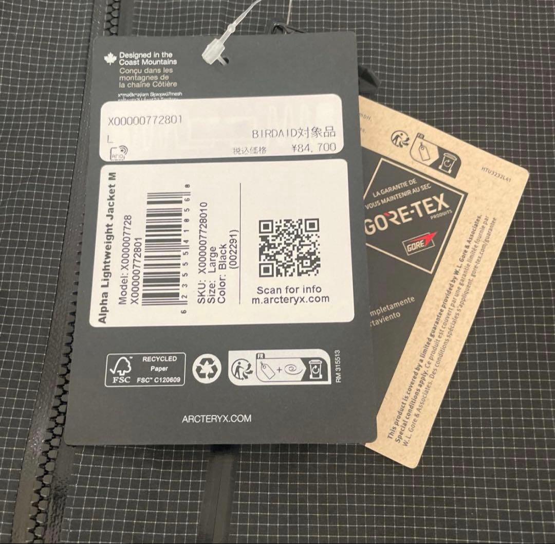 Arc'Teryx Mountain Parkas L