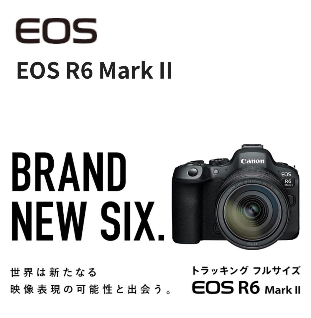 Canon Mirrorless Interchangeable Lens Cameras Eos R6 Mark Ii