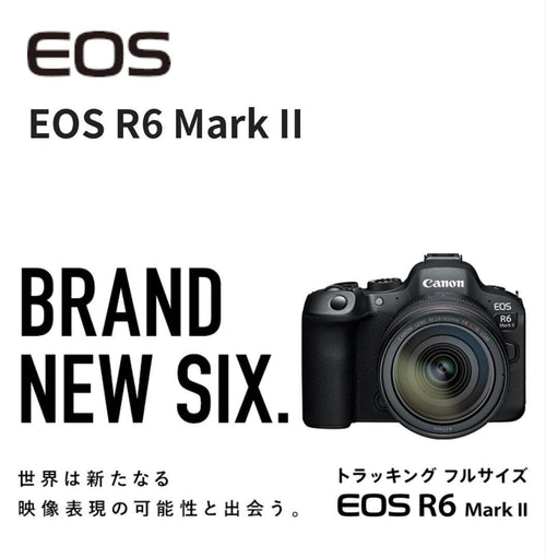 Canon Mirrorless Interchangeable Lens Cameras Eos R6 Mark Ii