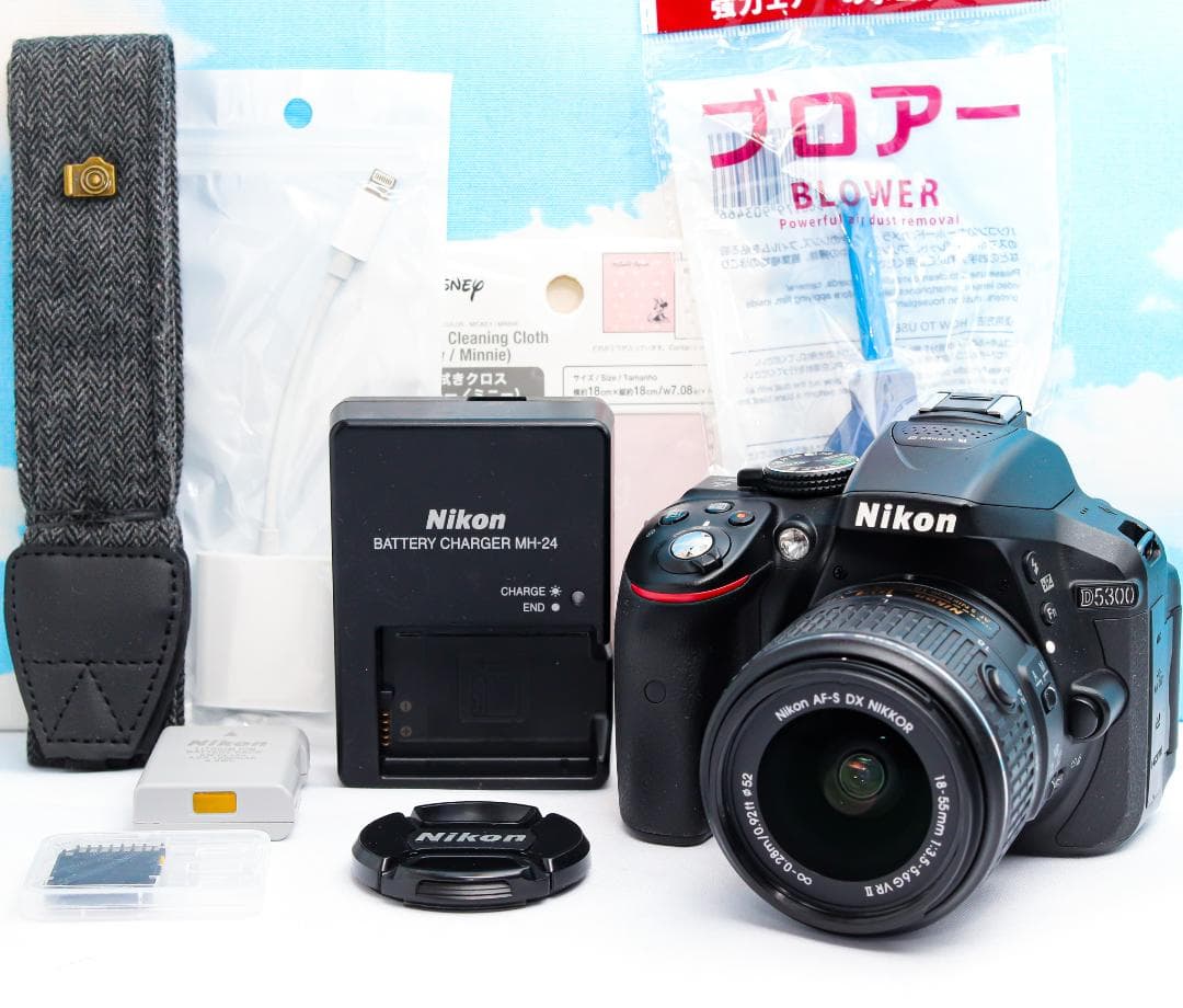 Nikon Digital Slrs D5300 Wifi
