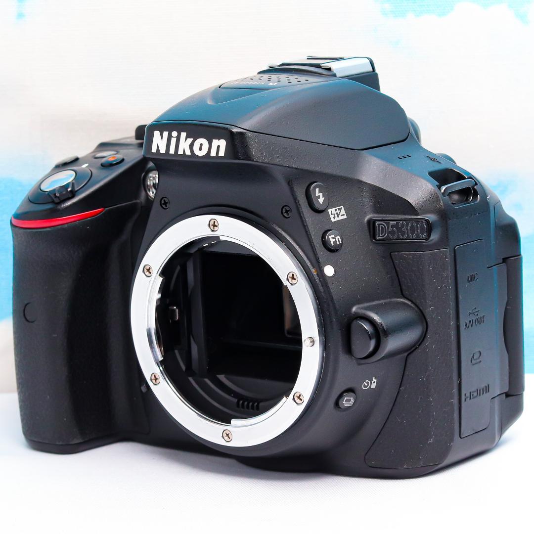 Nikon Digital Slrs D5300 Wifi