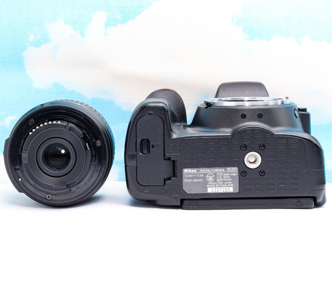 Nikon Digital Slrs D5300 Wifi