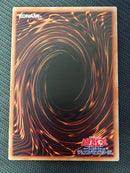Yu-Gi-Oh! Ocg Duel Monsters (Japanese)