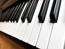 Yamaha Keyboards Digital Pianos Np-11