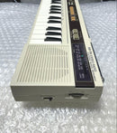 Casio Analog Synthesizer Ck-10 Am/Fm