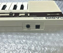 Casio Analog Synthesizers Ck-10