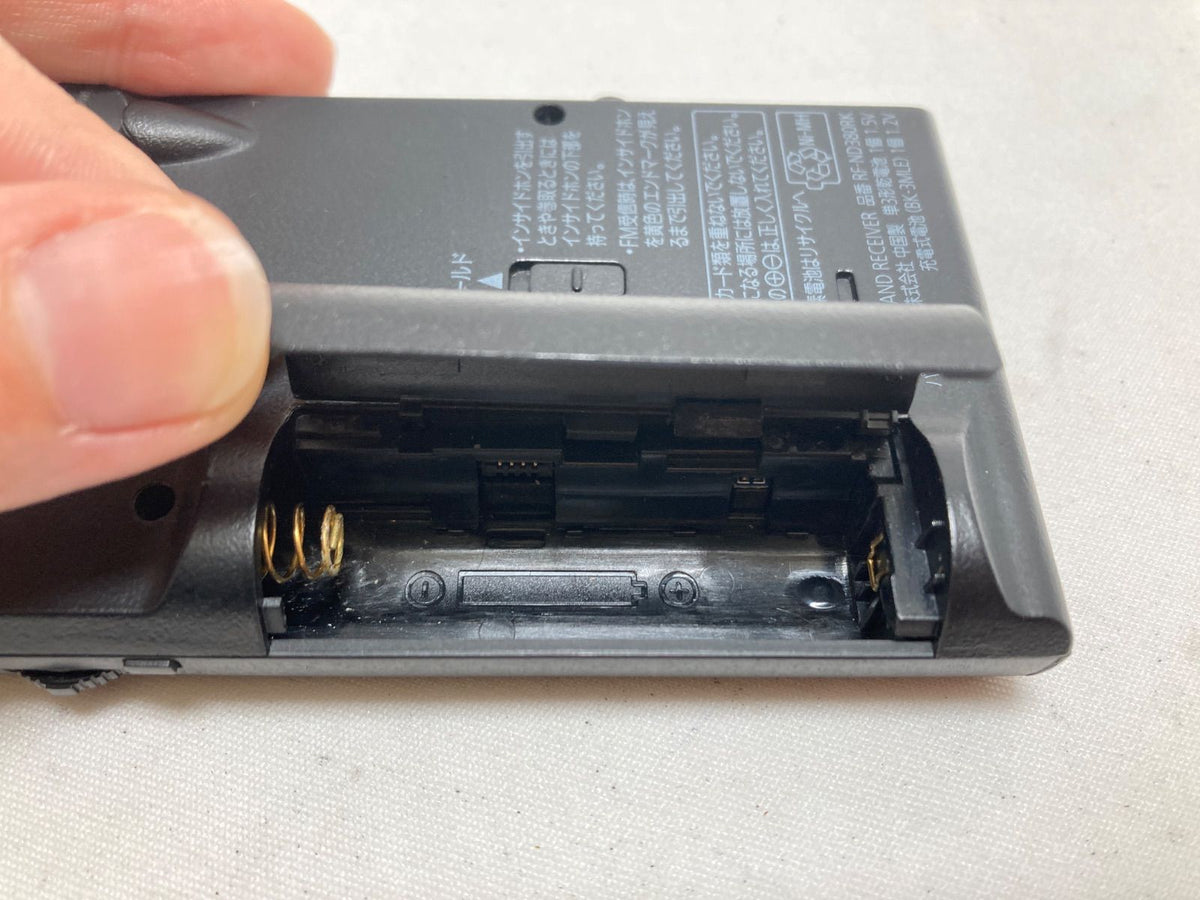 Panasonic Minnow Plug Rf-Nd380Rk