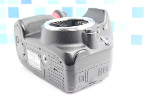 Nikon Digital Slrs D3100