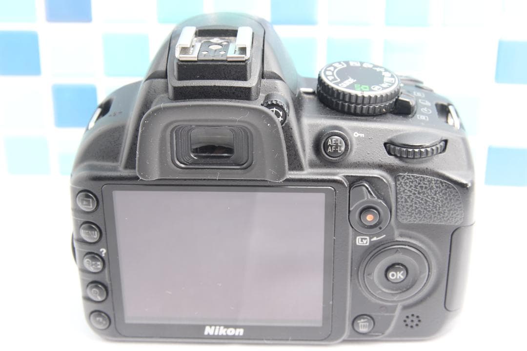 Nikon Digital Slrs D3100
