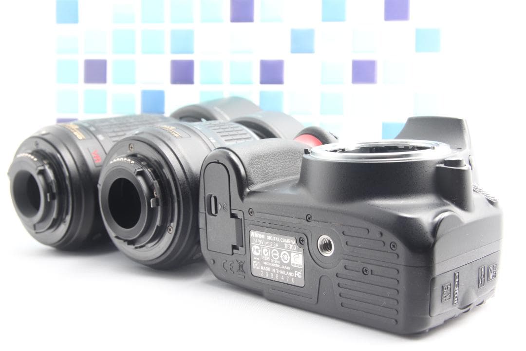 Nikon Digital Slrs D3100