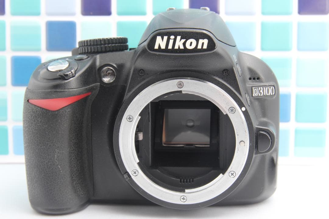 Nikon Digital Slrs D3100