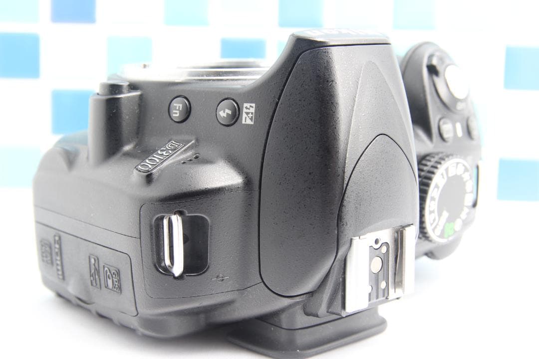 Nikon Digital Slrs D3100