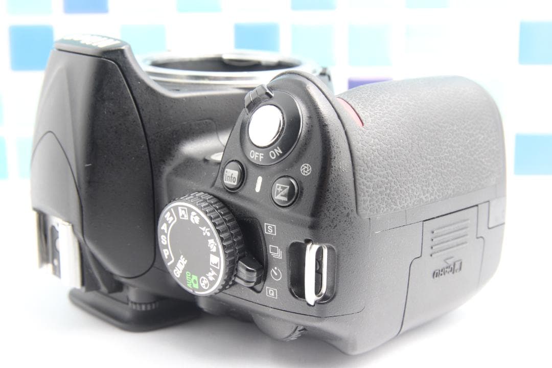 Nikon Digital Slrs D3100