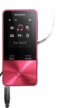 Sony Digital Audio Player S 16Gb