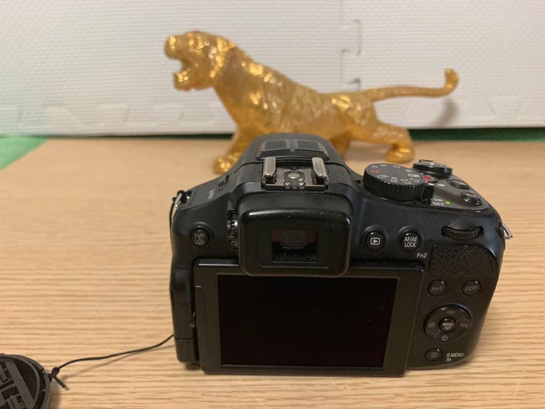 Compact Digital Camera Leica