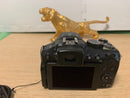 Compact Digital Camera Leica
