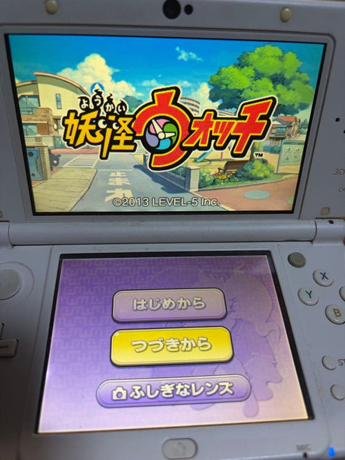 Software (Package Version) 3Ds
