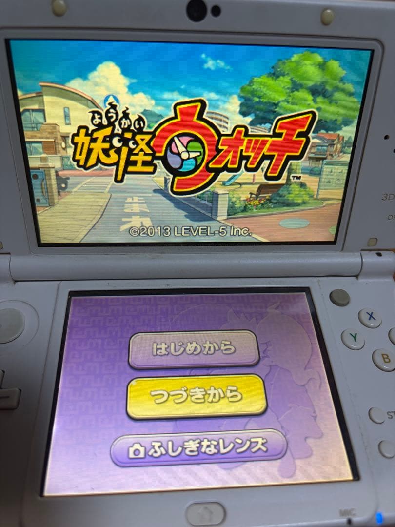Software (Package Version) 3Ds