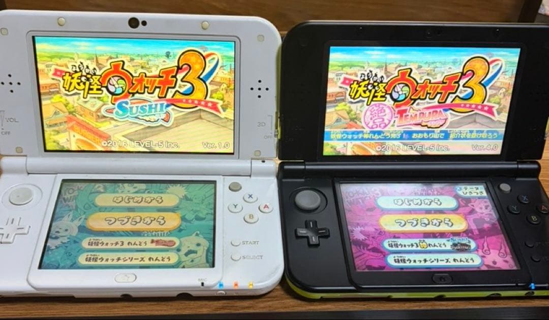 Software (Package Version) 3Ds