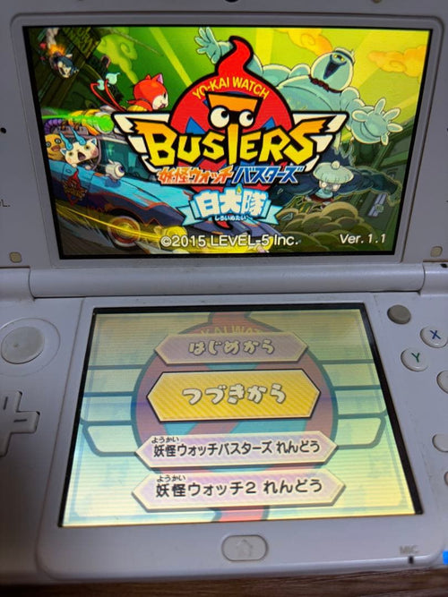 Software (Package Version) 3Ds