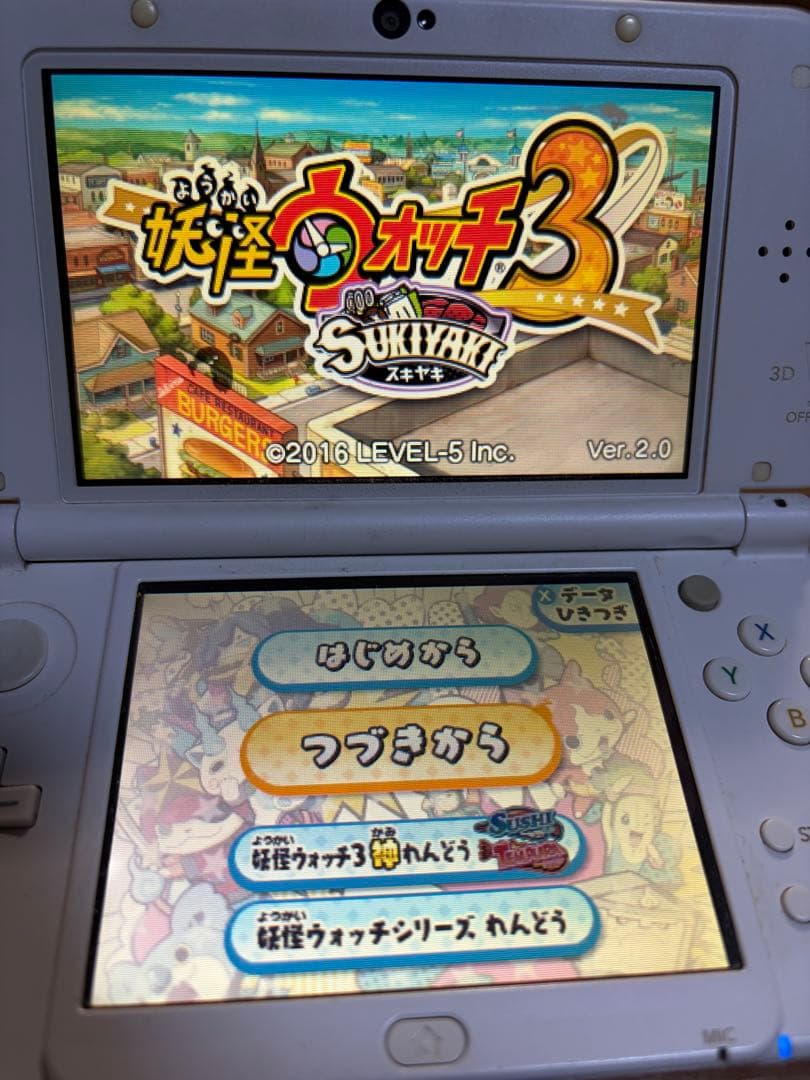 Software (Package Version) 3Ds