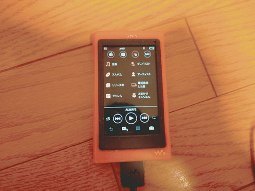 Sony Portable Md Player Nwa45
