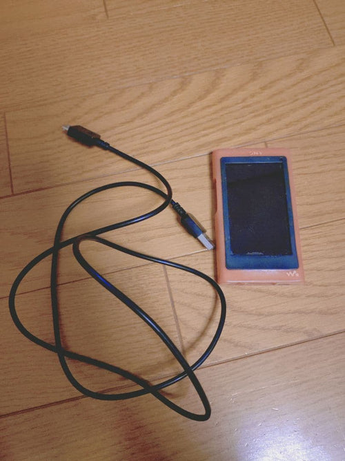 Sony Portable Md Player Nwa45