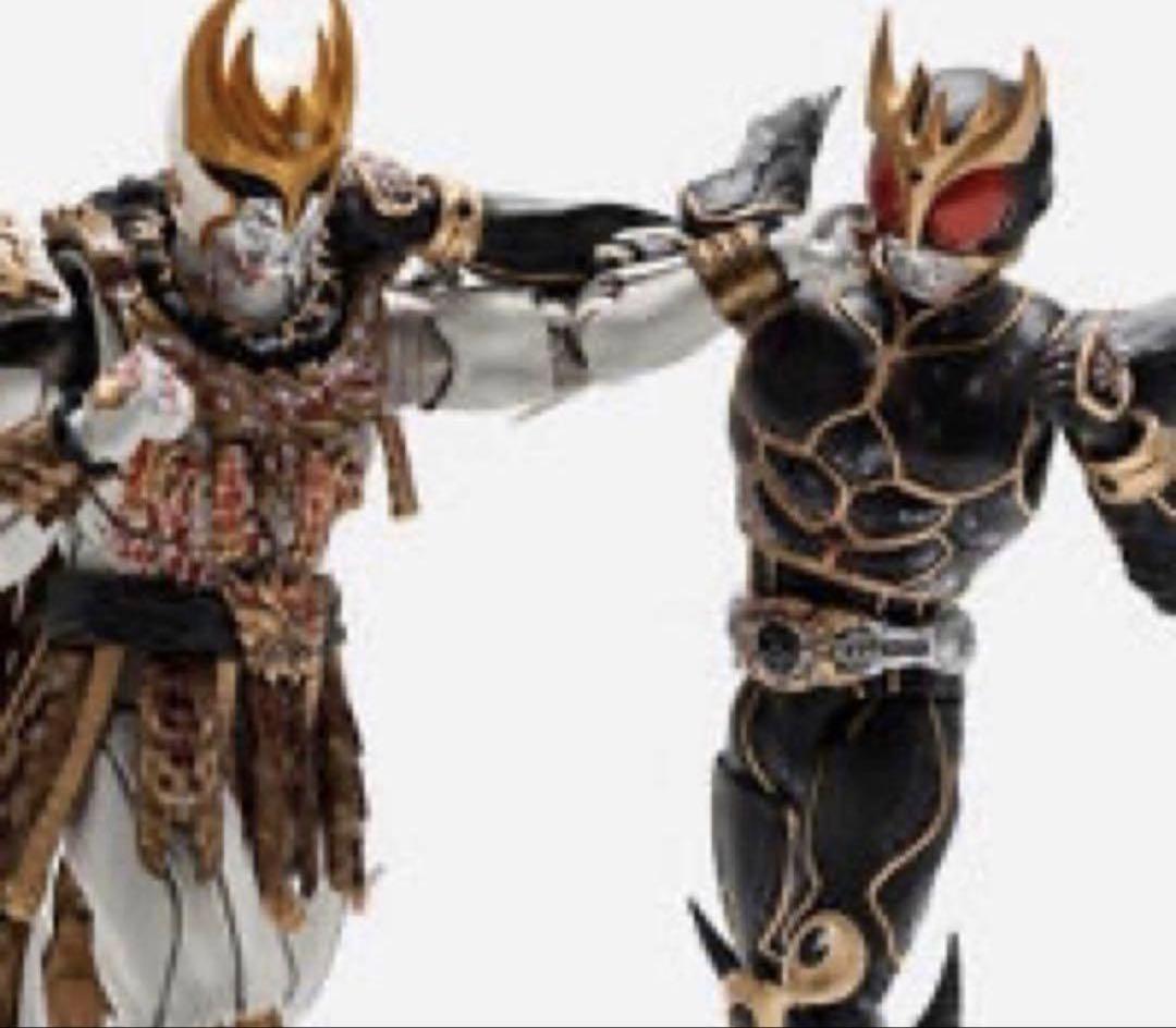 S.H.Figuarts Kamen Rider