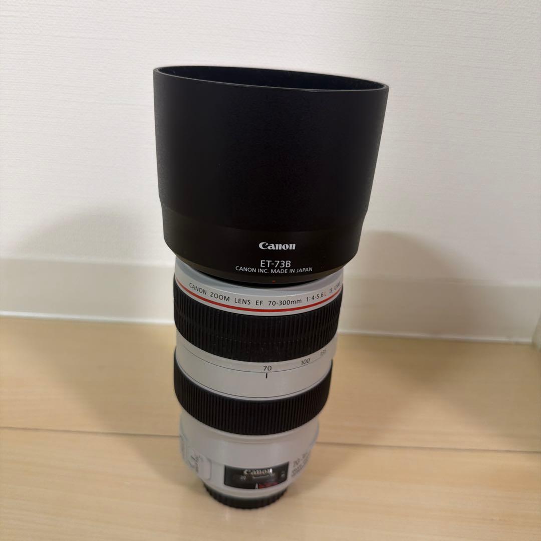 Canon Zoom Lenses Ef 70-300Mm F/4-5.6L Is Usm