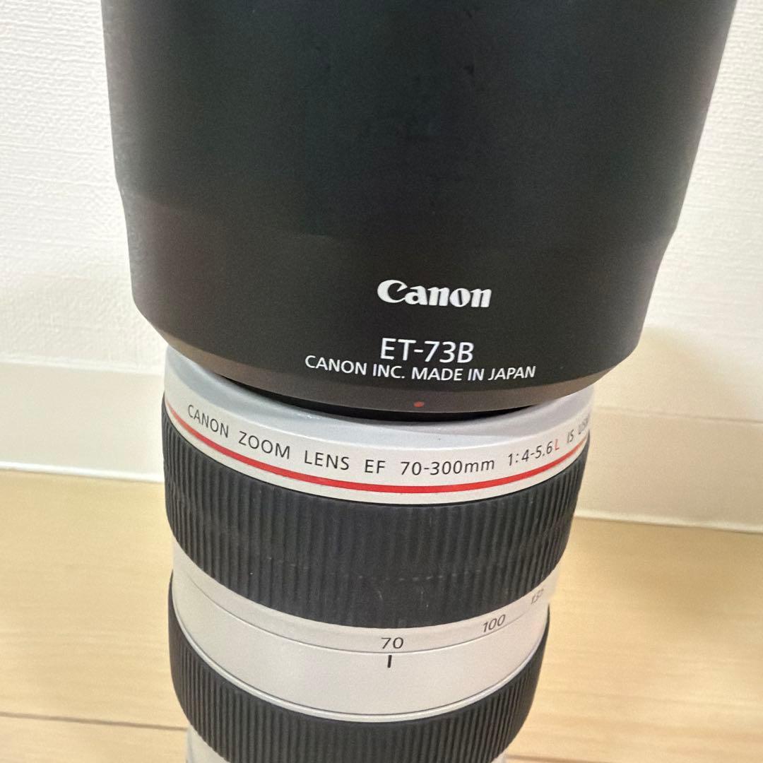 Canon Zoom Lenses Ef 70-300Mm F/4-5.6L Is Usm
