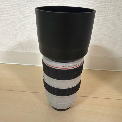 Canon Zoom Lenses Ef 70-300Mm F/4-5.6L Is Usm