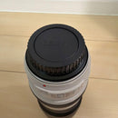 Canon Zoom Lenses Ef 70-300Mm F/4-5.6L Is Usm