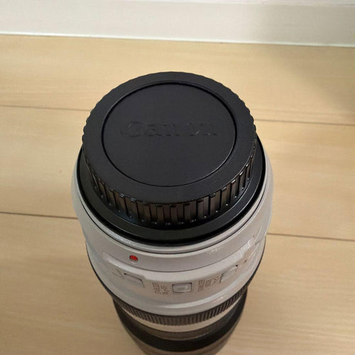 Canon Zoom Lenses Ef 70-300Mm F/4-5.6L Is Usm