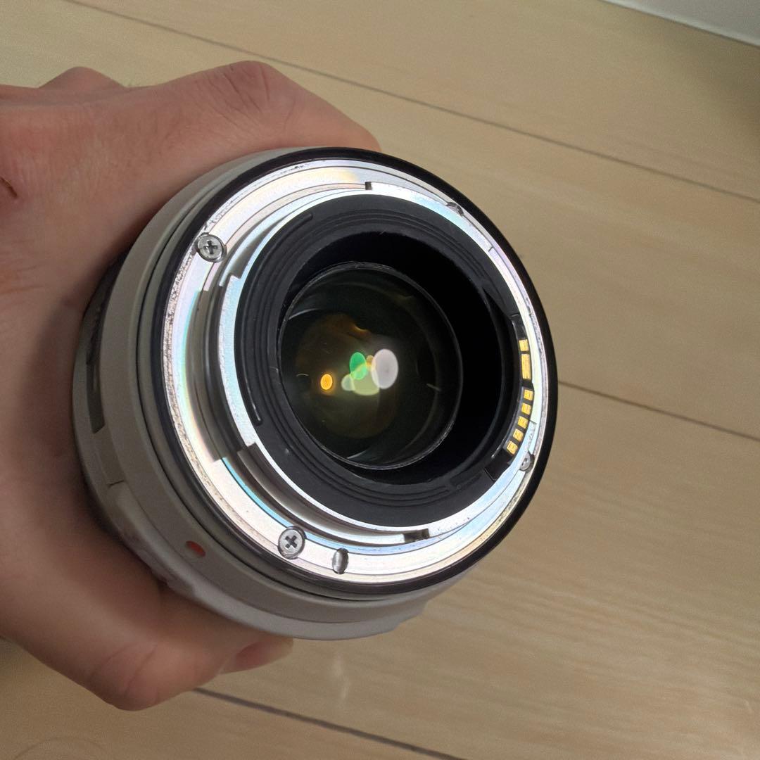 Canon Zoom Lenses Ef 70-300Mm F/4-5.6L Is Usm