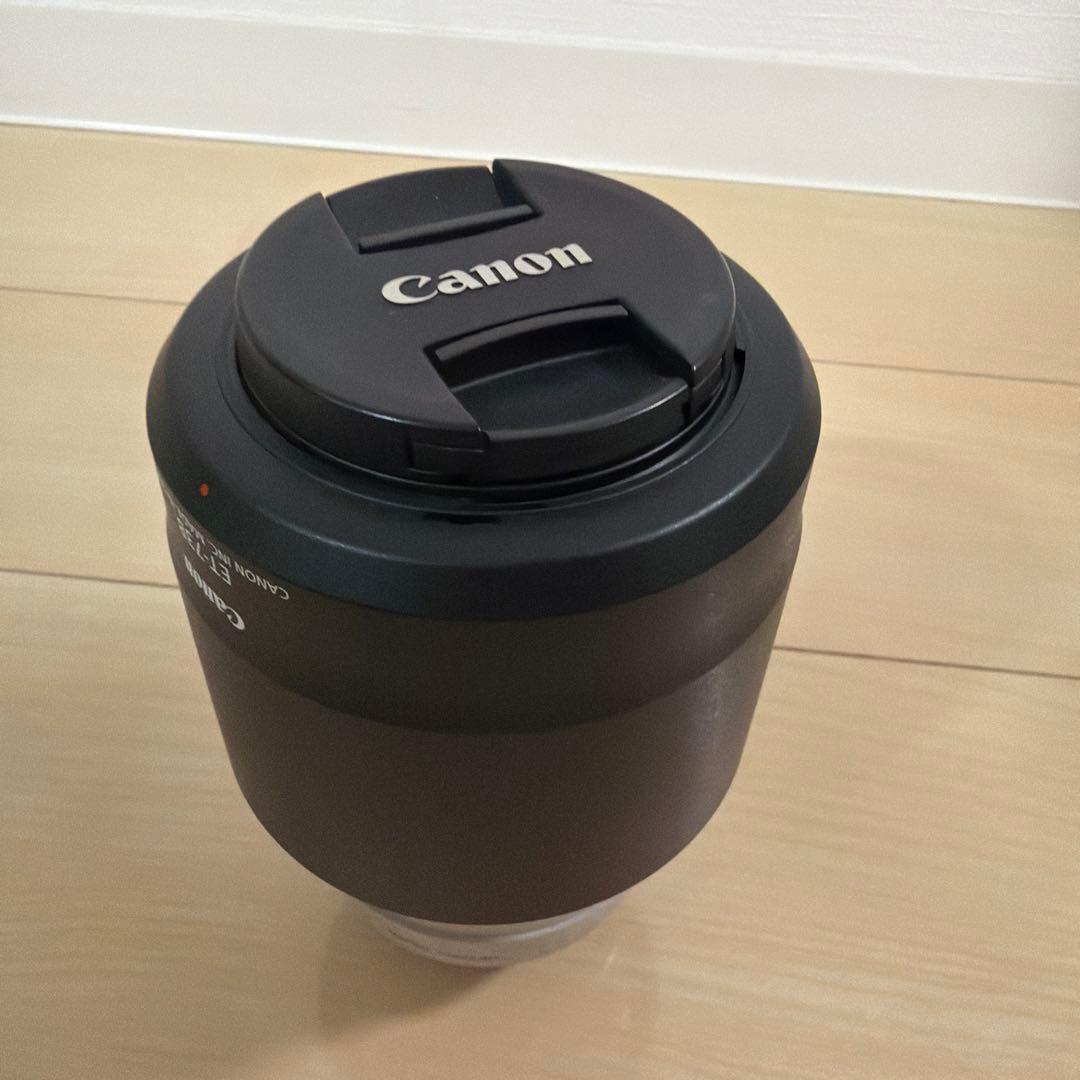 Canon Zoom Lenses Ef 70-300Mm F/4-5.6L Is Usm