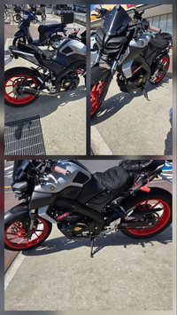 Yamaha Motorcycle Body Mt-15