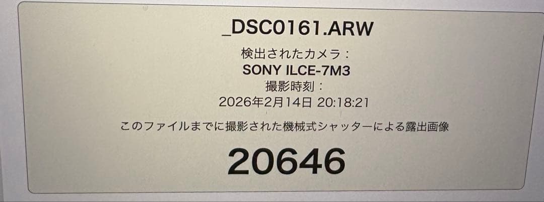 Sony Digital Slr 7 Ii