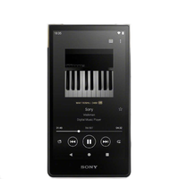 Sony Others Walkman Zx [64Gb/2023 Nw-Zx707 C