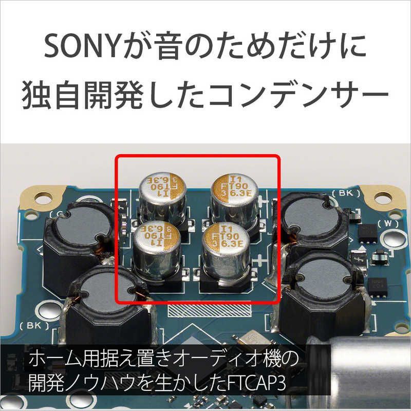 Sony Others Walkman Zx [64Gb/2023 Nw-Zx707 C