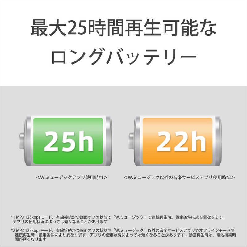 Sony Others Walkman Zx [64Gb/2023 Nw-Zx707 C