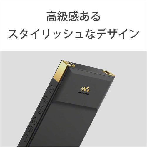Sony Others Walkman Zx [64Gb/2023 Nw-Zx707 C