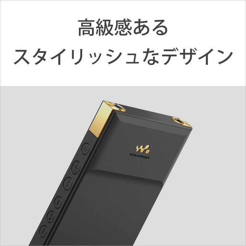 Sony Others Walkman Zx [64Gb/2023 Nw-Zx707 C