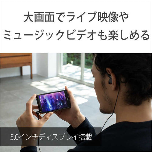 Sony Others Walkman Zx [64Gb/2023 Nw-Zx707 C