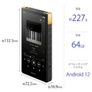 Sony Others Walkman Zx [64Gb/2023 Nw-Zx707 C