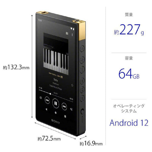 Sony Others Walkman Zx [64Gb/2023 Nw-Zx707 C